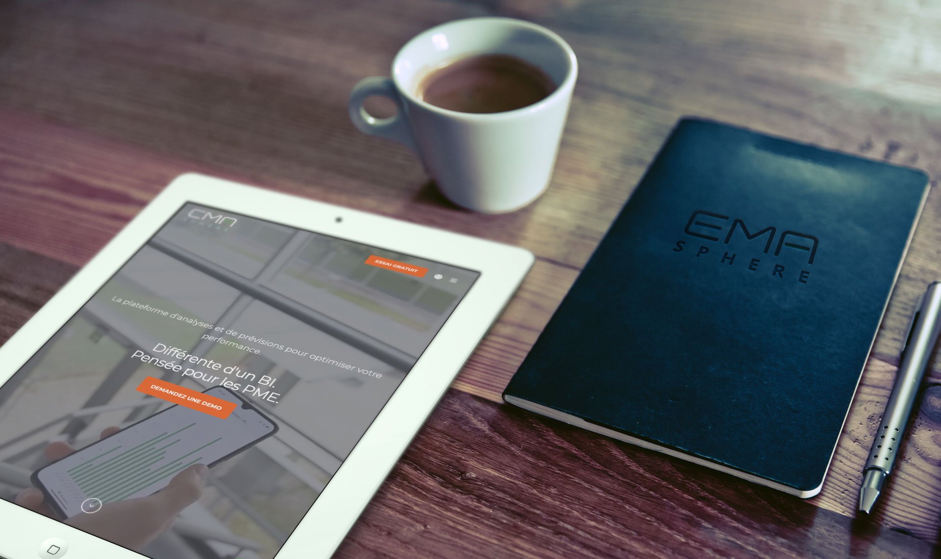 Page d'accueil EMAsphere sur iPad