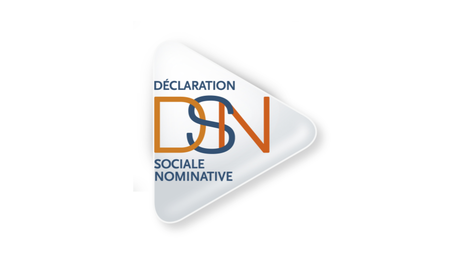 Logo DSN