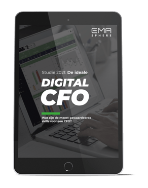 ipad-preview-ebook-digital-cfo