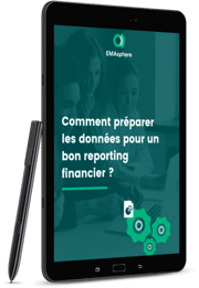 Comment préparer les données pour un bon reporting financier - Preview