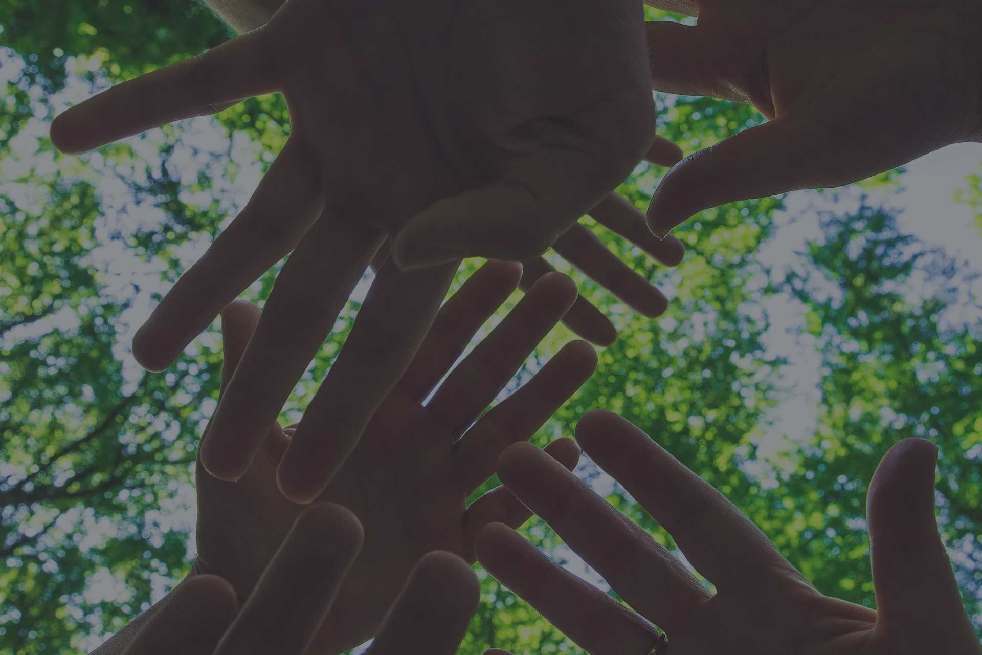 Hands joined to protect the environment