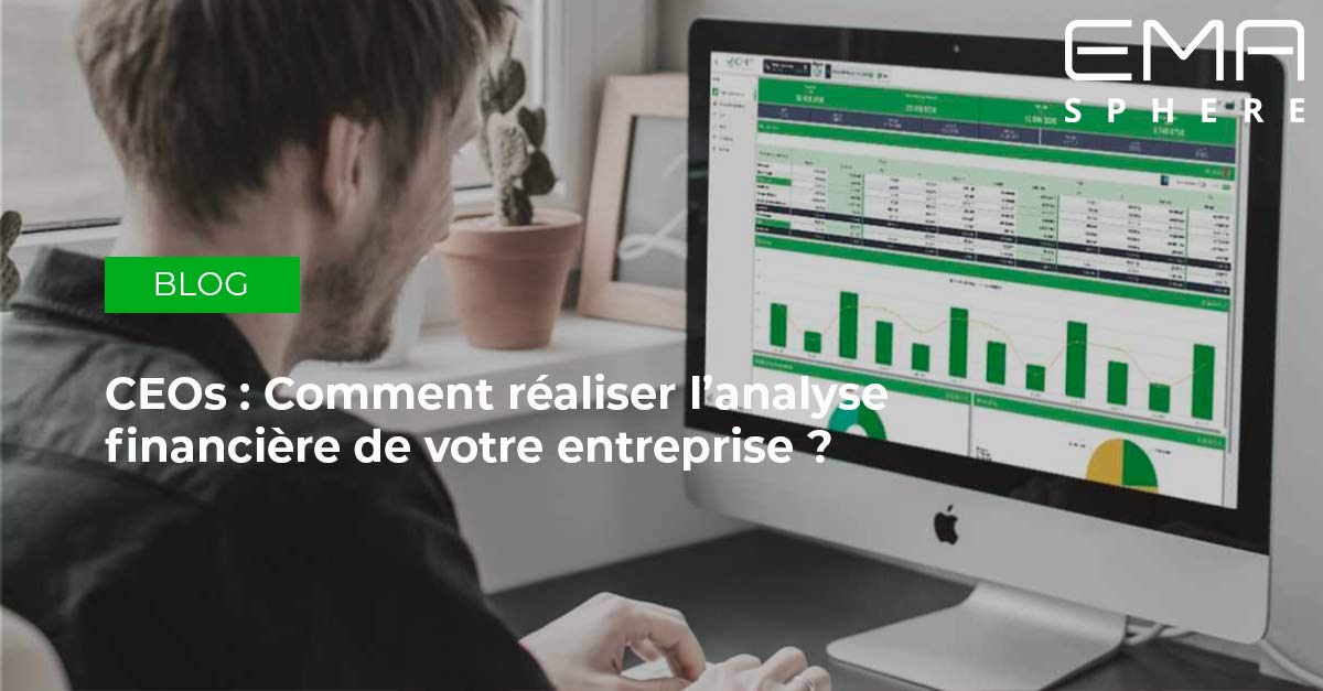 CEOs : comment réaliser l'analyse financière de votre entreprise ?