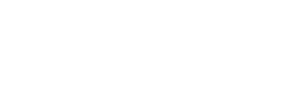 Securex
